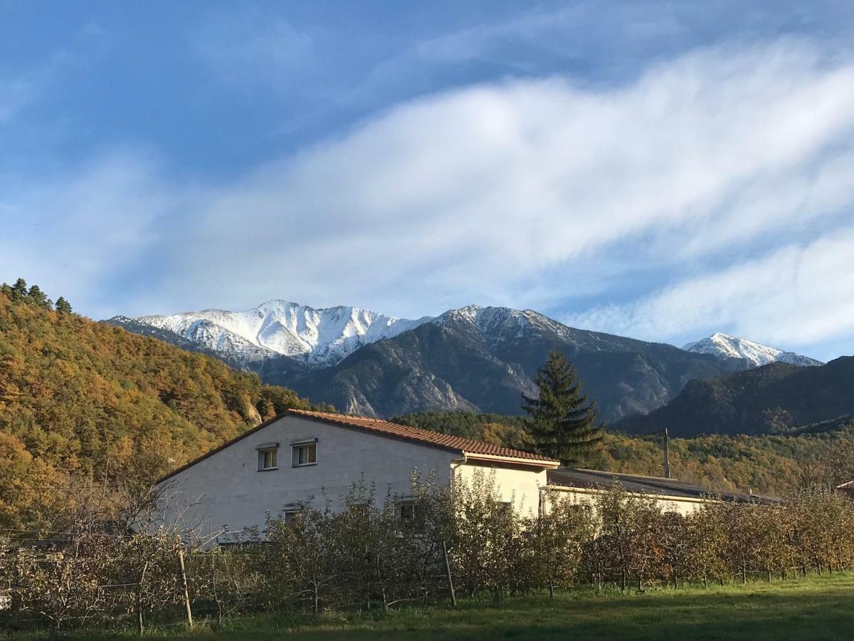 Casa Mia Panzió Nefiach Kültér fotó